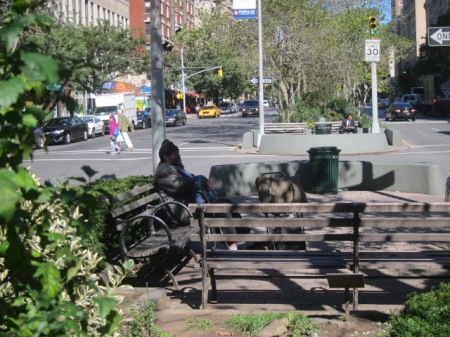 The median is a multiple-use miniature park, and its users come from many species.