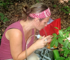 Amy uses the aspirator. (Click image to go to Your Wild Life blog.)